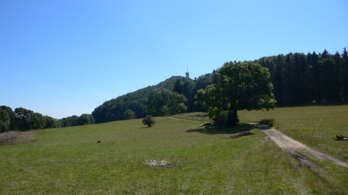 Blick vom Ropfeld auf den Roßberg