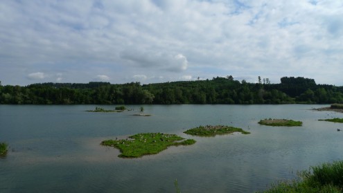 Zielfinger See