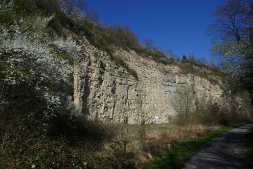 steinbruch-neckarrems